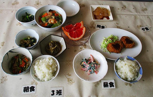 2017_たんぱく質および塩分コントロール食